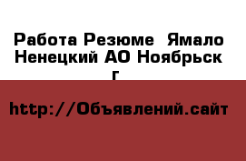 Работа Резюме. Ямало-Ненецкий АО,Ноябрьск г.